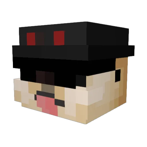 Doguinho_PvP Minecraft avatar head, 3D render