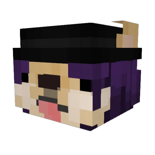 Doguinkk Minecraft avatar head, 3D render