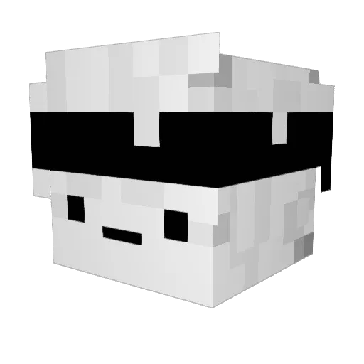 Doguuu67 Minecraft avatar head, 3D render