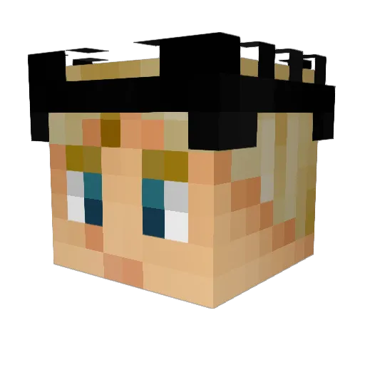 DogwoodIND Minecraft avatar head, 3D render
