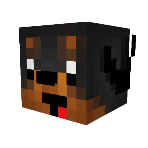 DogyZ Minecraft avatar head, 3D render