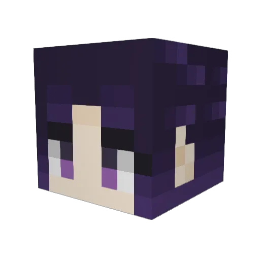 Dogyss Minecraft avatar head, 3D render