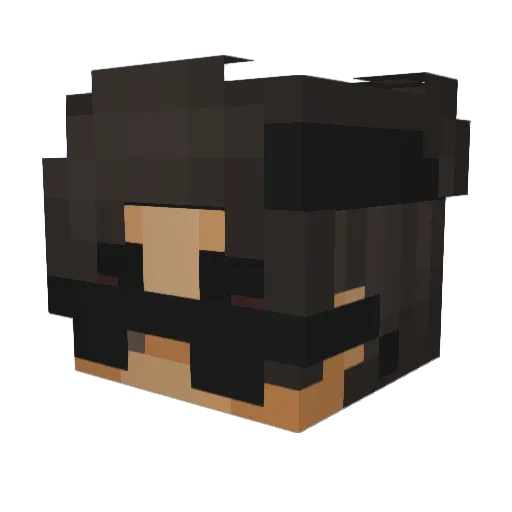 Doh99 Minecraft avatar head, 3D render