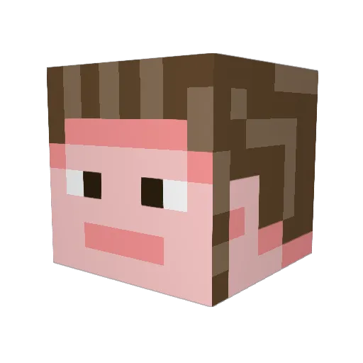 Dohjoe Minecraft avatar head, 3D render