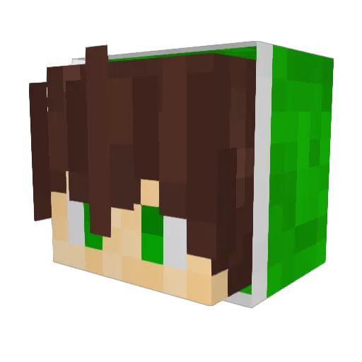 Dohko0 Minecraft avatar head, 3D render
