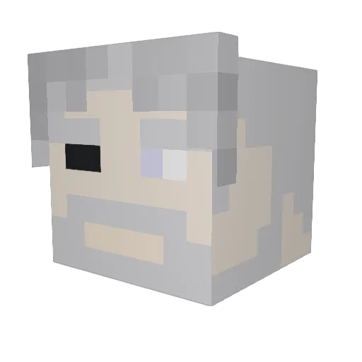 Dohnok Minecraft avatar head, 3D render
