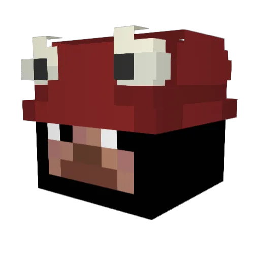 Dohyun01 Minecraft avatar head, 3D render