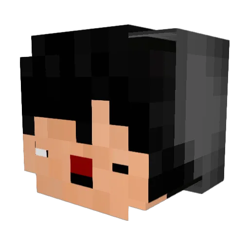 Doing1millDuels Minecraft avatar head, 3D render