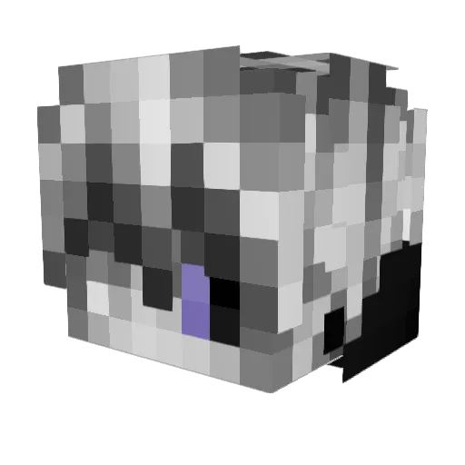 Dojeon Minecraft avatar head, 3D render