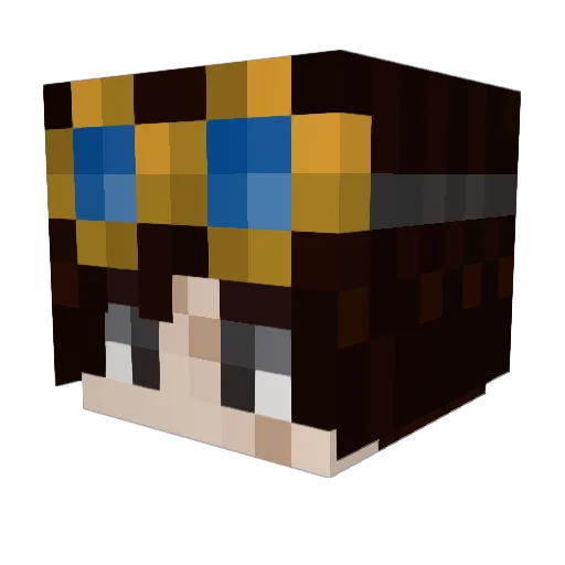Dojo10101 Minecraft avatar head, 3D render