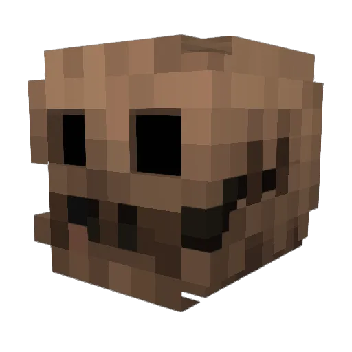 Dok2tor Minecraft avatar head, 3D render