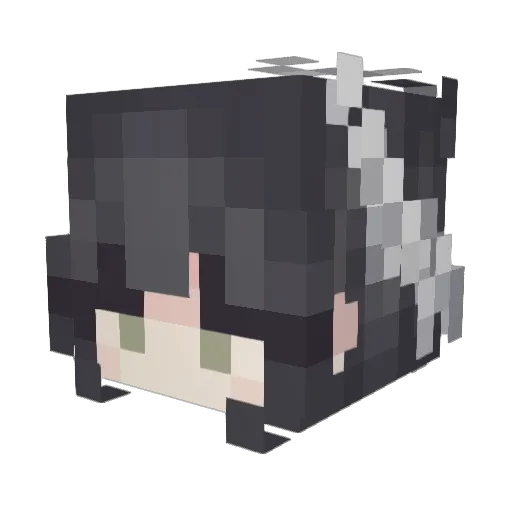 Dokaemi Minecraft avatar head, 3D render