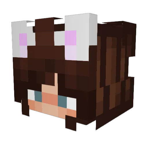 Dokny Minecraft avatar head, 3D render