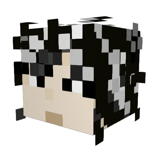 Dokotesk Minecraft avatar head, 3D render