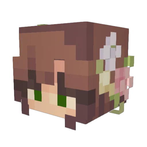 Dokrou Minecraft avatar head, 3D render