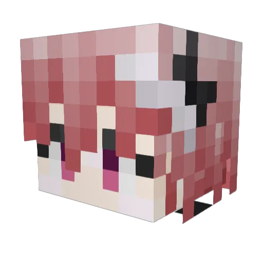 Dokthore Minecraft avatar head, 3D render