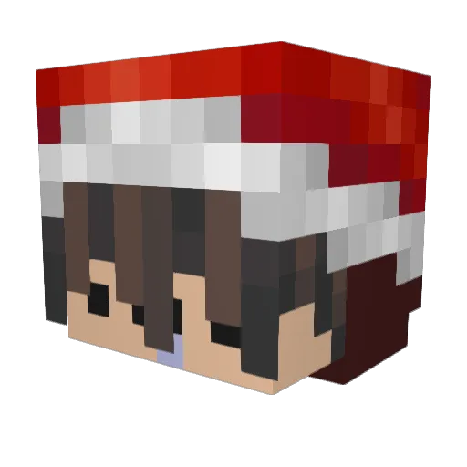 DoktorDum Minecraft avatar head, 3D render