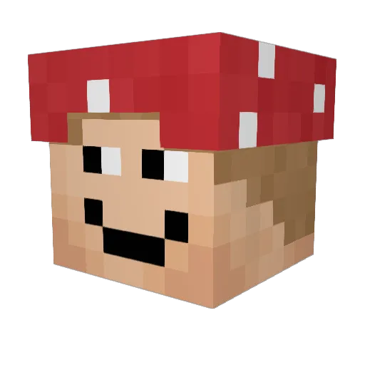 DoktorFruchtsaft Minecraft avatar head, 3D render