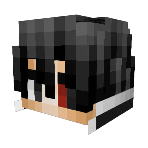 DoktorKuk Minecraft avatar head, 3D render