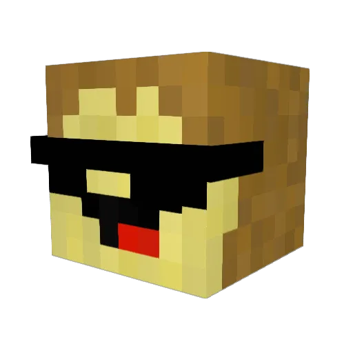 DoktorP Minecraft avatar head, 3D render