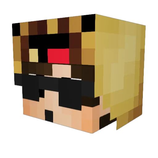 DoktorTacos Minecraft avatar head, 3D render