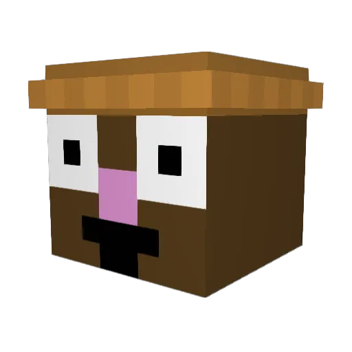 Doktor_B Minecraft avatar head, 3D render
