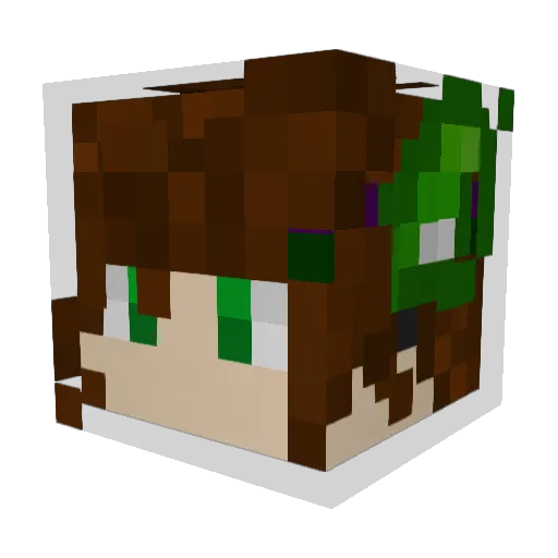 Doktor_Foksiuk Minecraft avatar head, 3D render