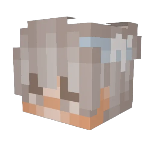 Doktortitel Minecraft avatar head, 3D render