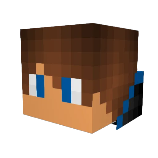 Dokun1234 Minecraft avatar head, 3D render