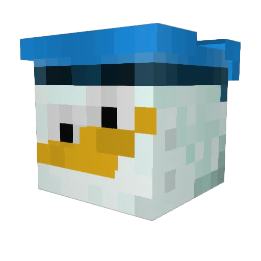 Dolan721 Minecraft avatar head, 3D render