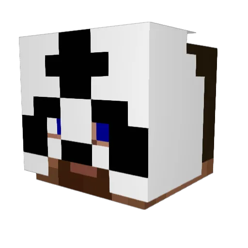 Dolan_Ducks Minecraft avatar head, 3D render