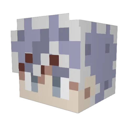 DoldBuilds Minecraft avatar head, 3D render