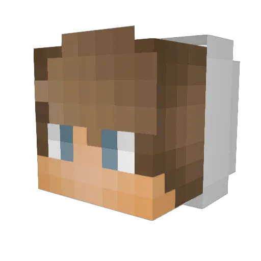 Dolfinator79 Minecraft avatar head, 3D render