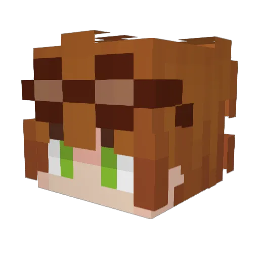 Dolgaaaaa Minecraft avatar head, 3D render