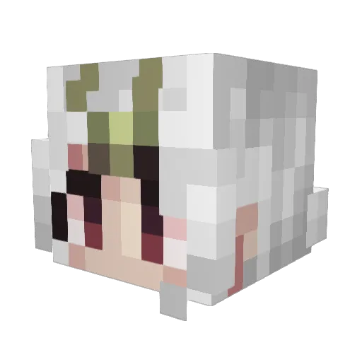 DollDragon Minecraft avatar head, 3D render