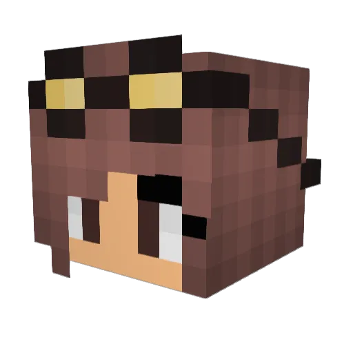 DollarBird Minecraft avatar head, 3D render