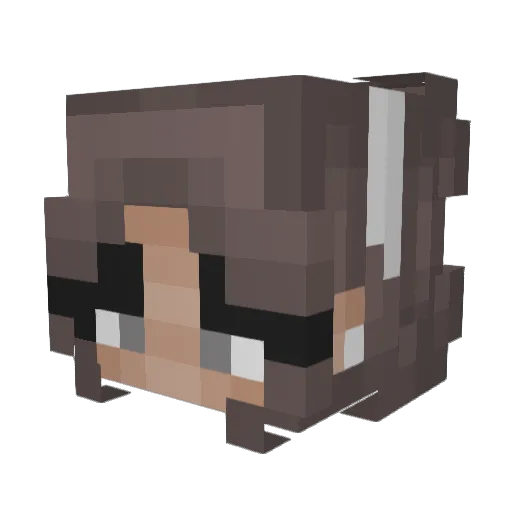DollarSigh Minecraft avatar head, 3D render