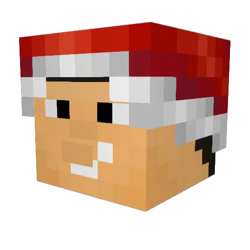 Dollarnator Minecraft avatar head, 3D render