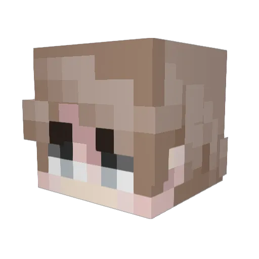 Dollawxy Minecraft avatar head, 3D render