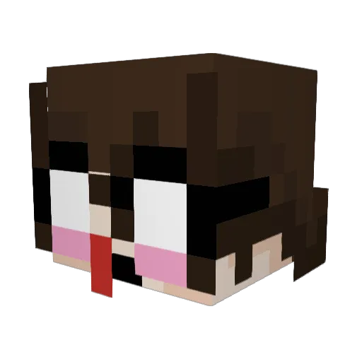 Dollep Minecraft avatar head, 3D render