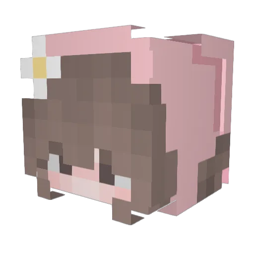 Dollettee Minecraft avatar head, 3D render