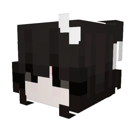Dollskin Minecraft avatar head, 3D render
