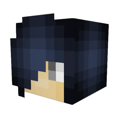 DollyDoctor Minecraft avatar head, 3D render