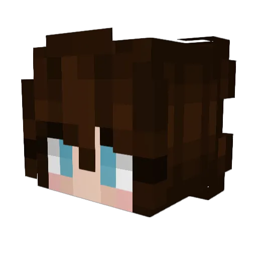 DollyKaka1 Minecraft avatar head, 3D render