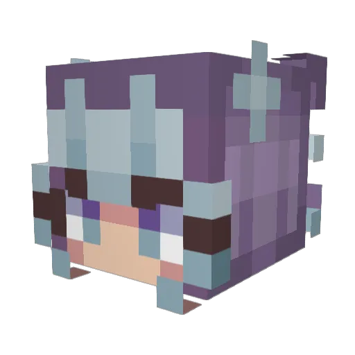 DollyRainbow3 Minecraft avatar head, 3D render
