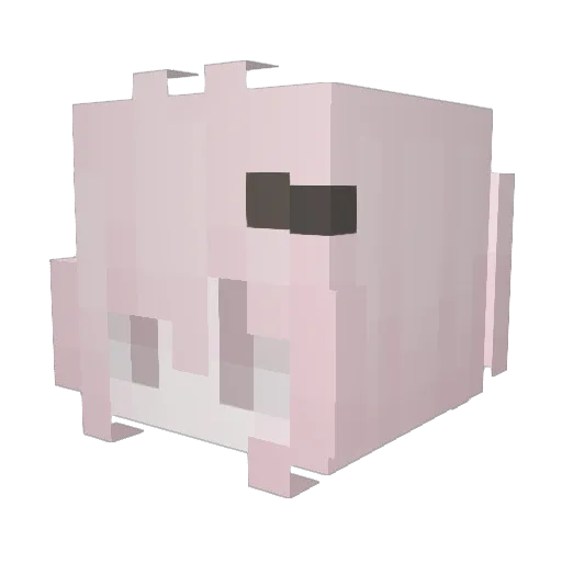 Dollyx_x Minecraft avatar head, 3D render
