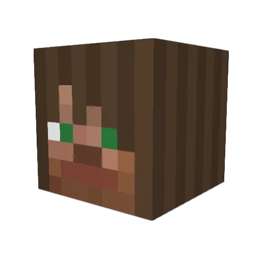 Dolo1 Minecraft avatar head, 3D render