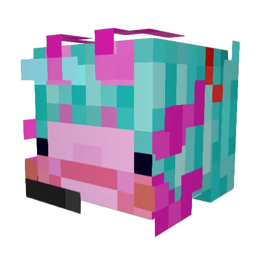 Dolotl_ Minecraft avatar head, 3D render