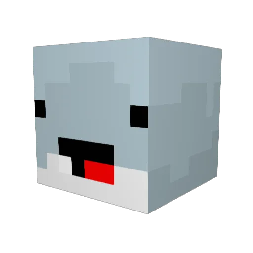 Dolphboi Minecraft avatar head, 3D render
