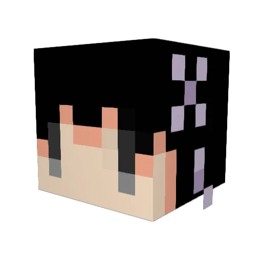 Dolphin014 Minecraft avatar head, 3D render